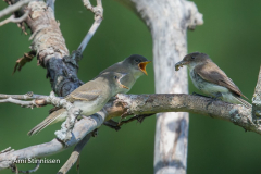 1DX4482-Edit-2-Edit 1DX4482-Edit-2-Edit