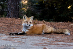 20151023-_D305589 20151023-_D305589